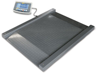 Platforma industriala metal vopsit - Kern&Sohn NFB